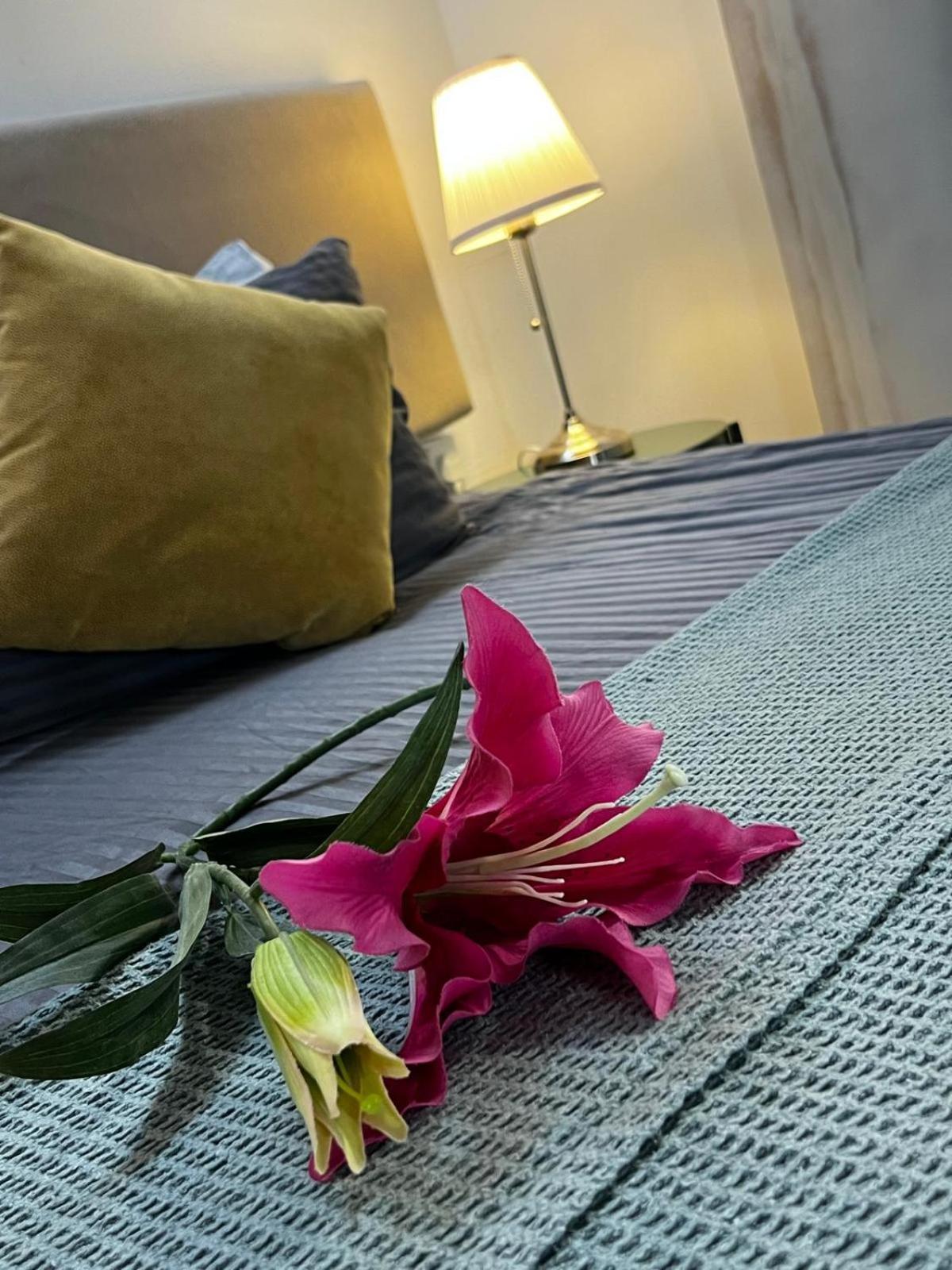 Tasev Guesthouse Никосия Экстерьер фото